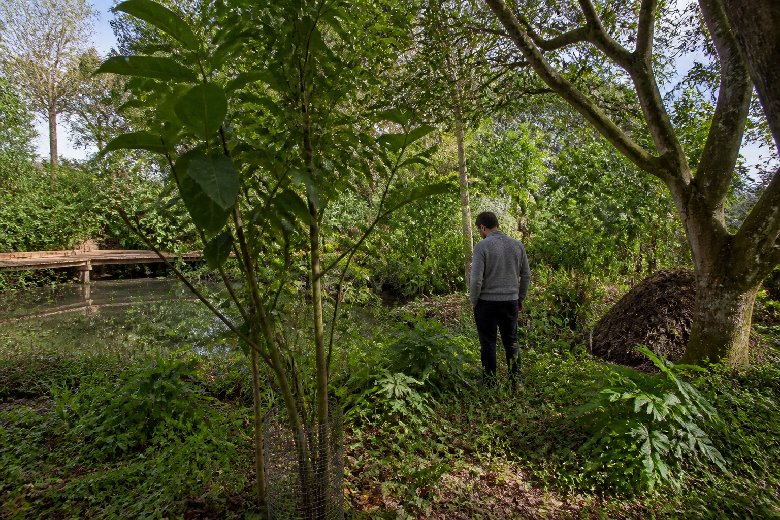 Problemen en Natuurlijke Oplossingen