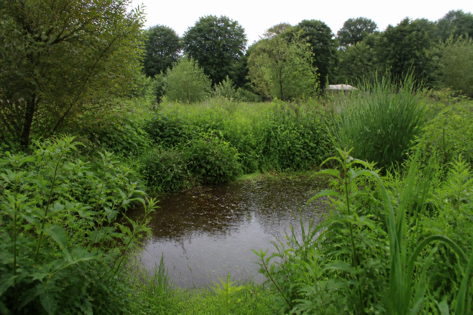 Water in de Permacultuur